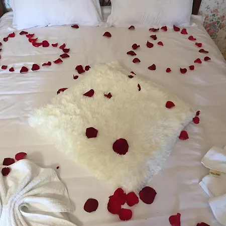 Minihotel Zolotoe Runo Ploskoye Zimmer foto